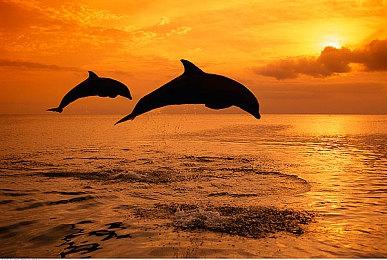 国产银河恶魔城游戏《觉醒异刃》10月22日发售