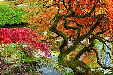 科学冒险《匿名代码》9月发售PC版新增繁中字幕